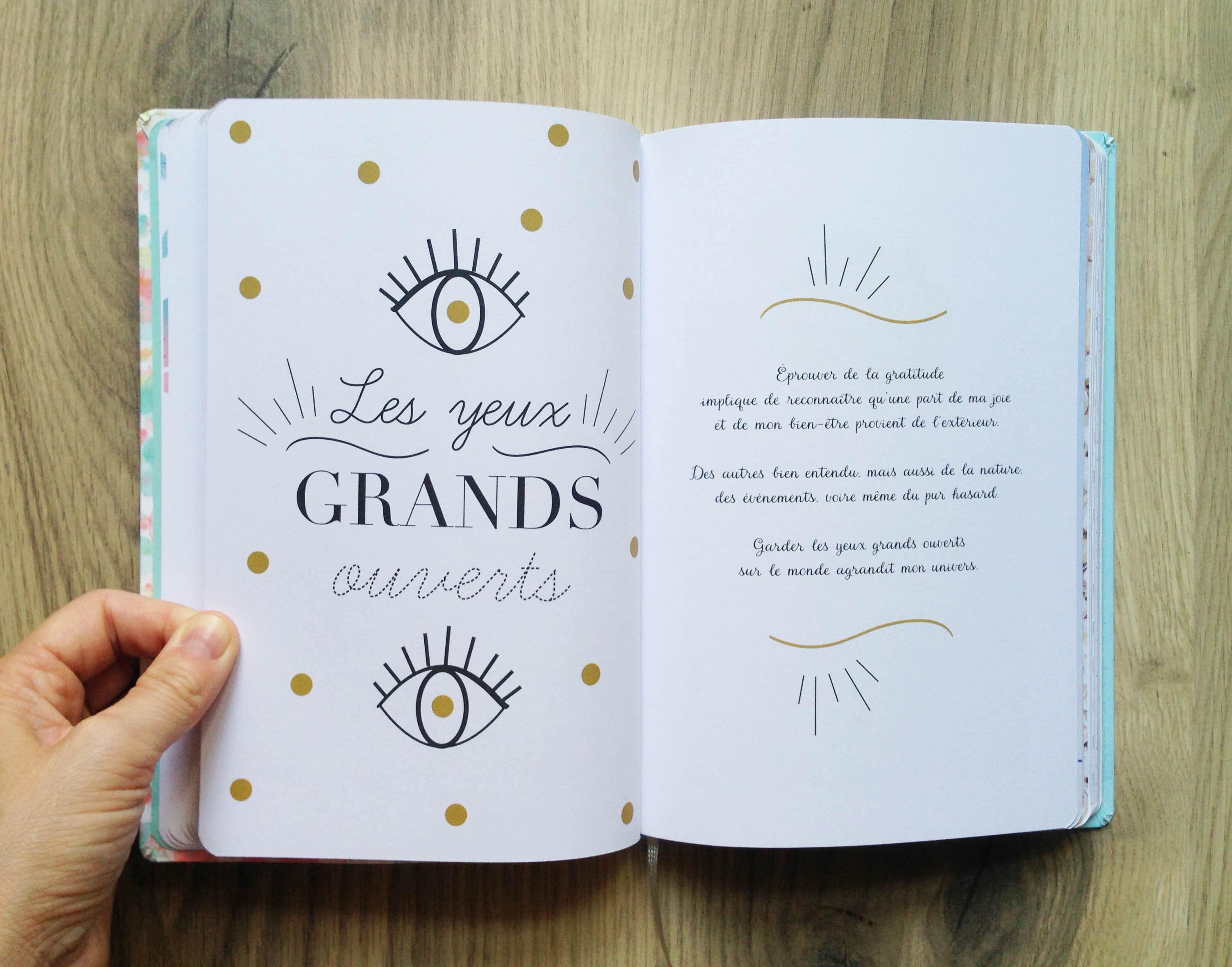 Cahier de gratitude: Cahier de gratitude (French Edition)